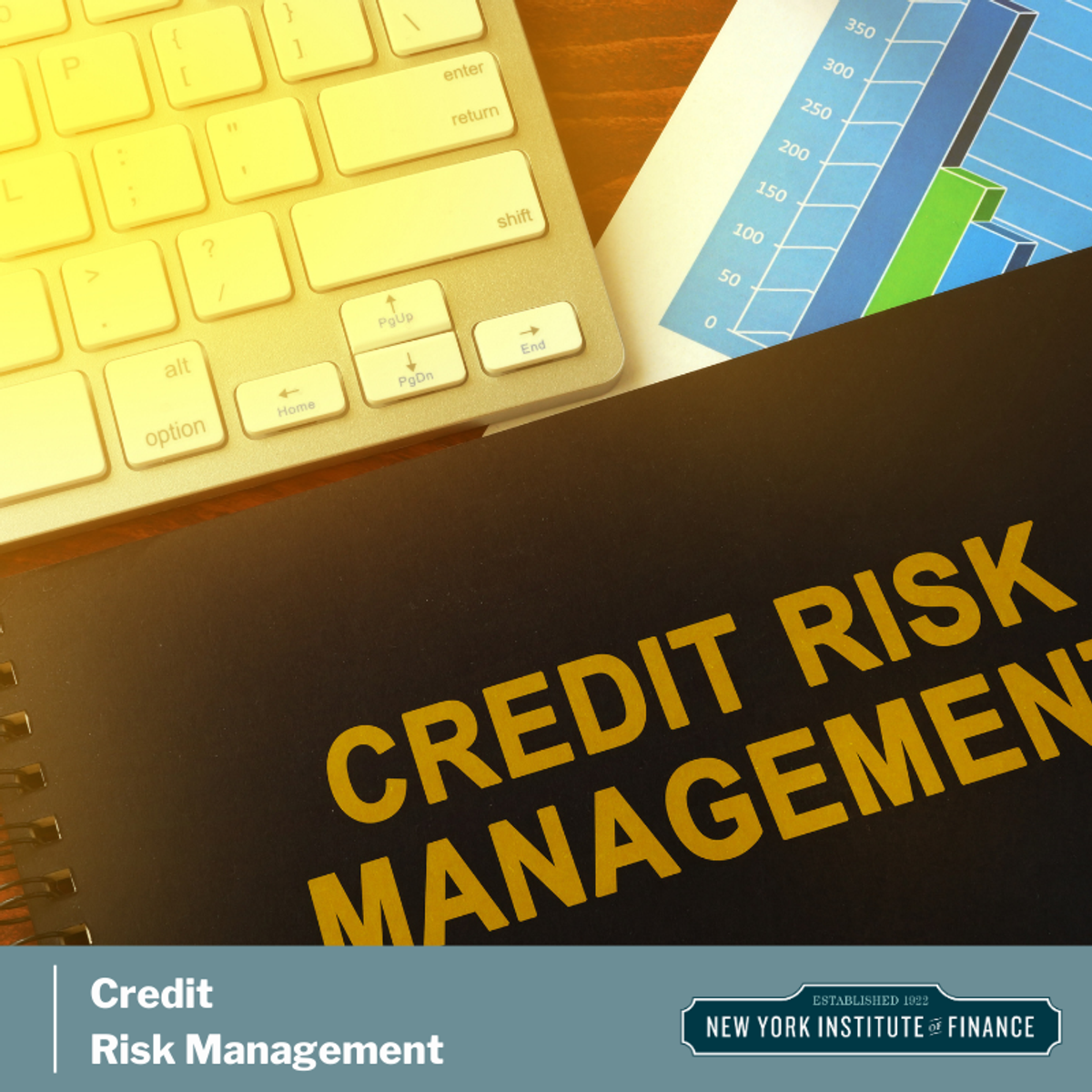 credit-risk-management-frameworks-and-strategies-data-science-rush